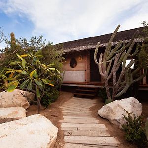 El Perdido Desert Dream- Adults Only